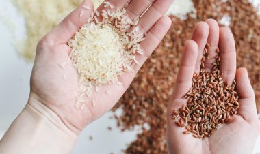 8 Simple Tips For Making The Best Fried Rice