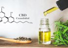 CBD Might Not Be As Safe as You Believe