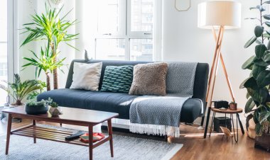 7 tips to make your house healthier