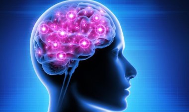 9 Ways to Improve Brain Health
