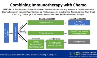 Approved as an Immunotherapy Treatment in Advanced Non–Small Cell Lung Cancer