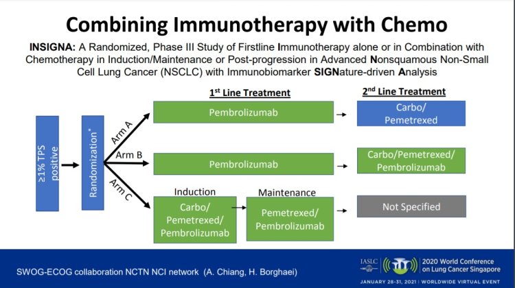 Approved as an Immunotherapy Treatment in Advanced Non–Small Cell Lung Cancer