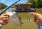 Static (slow) summer fishing tips