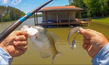 Static (slow) summer fishing tips
